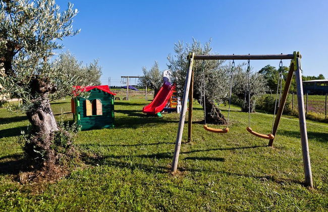 Olistella - Foto 25