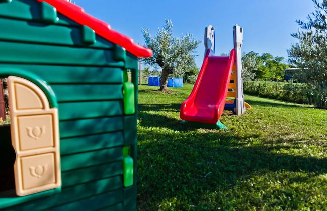 Olistella - Foto 24