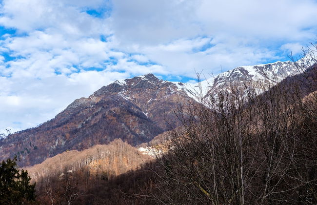 La Bursch - Foto 44