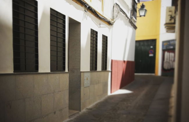 I Loft Córdoba - Photo 21
