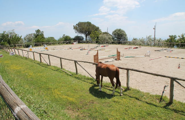 Agriturismo Piccolo Paradiso - Foto 39