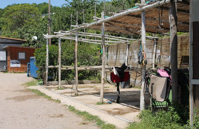 Agriturismo Piccolo Paradiso - Foto 43