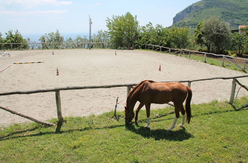 Foto 40 - Agriturismo Piccolo Paradiso