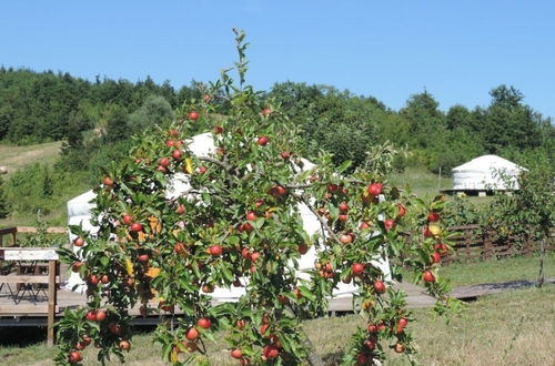 Foto 45 - Società Agricola Cacigolara