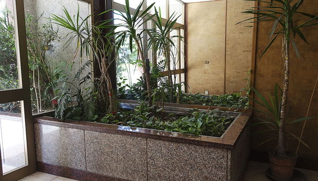 Entrada (vista interior)