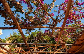 Photo 3 - Villa Amalfi in Amalfi