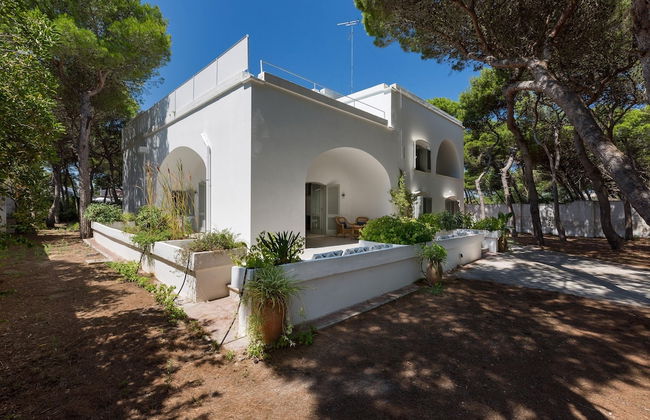Masseria Villa - Foto 66