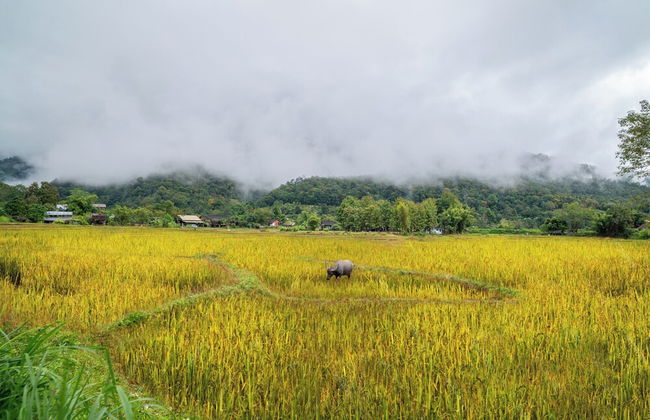 Luxury Farm House Pai - Foto 47