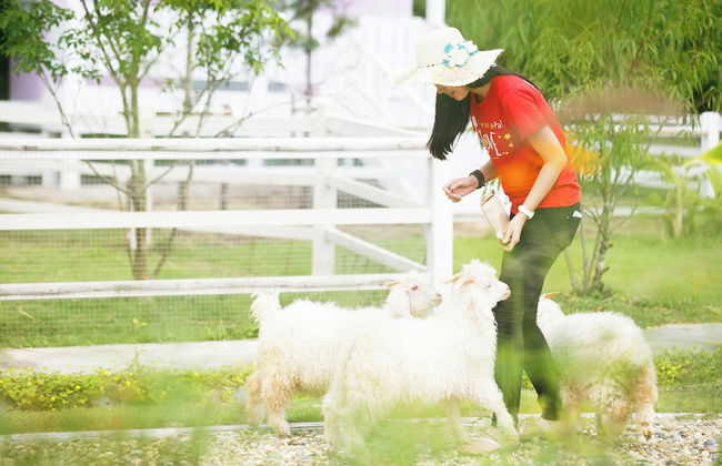 Luxury Farm House Pai - Foto 46