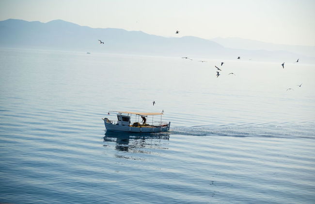 Paxi Apt in Gaios With 1 Bedrooms and 1 Bathrooms - Foto 27