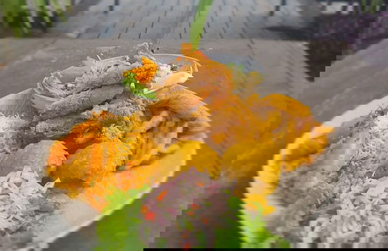 RUSTICA TARAPOTO - Photo 9