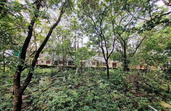 Sereno By Dancenter 1bhk Apartment In Siolim - Foto 28