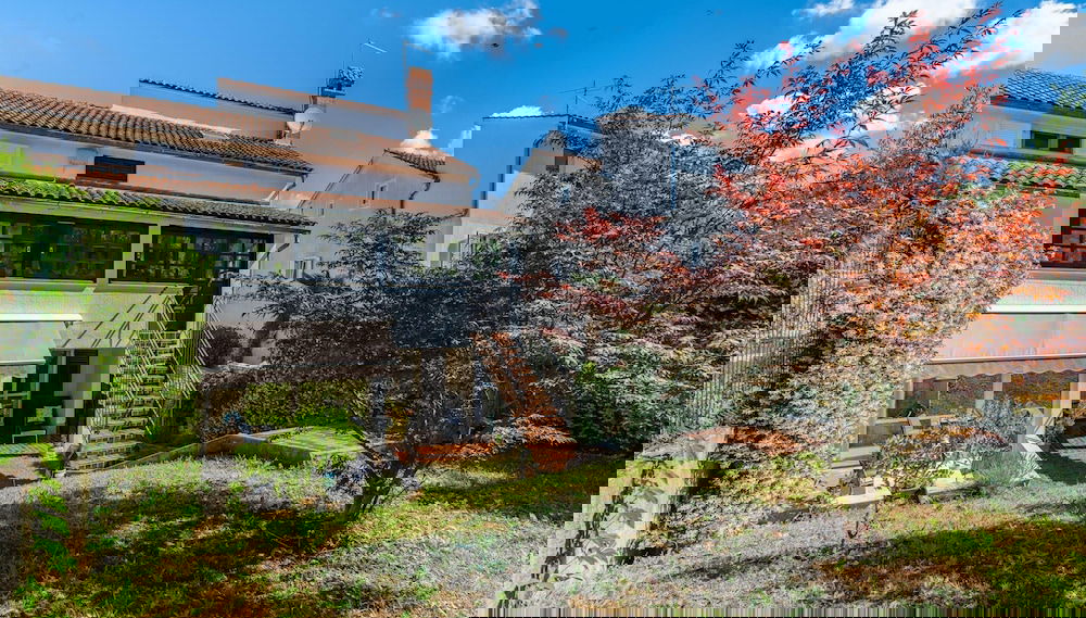 Image principale