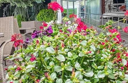 Vila Alessia - Photo 46