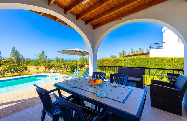 Villa Christos in Argaka - Photo 45