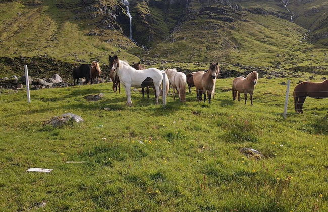 Kirkjufell View Cottages - Foto 16