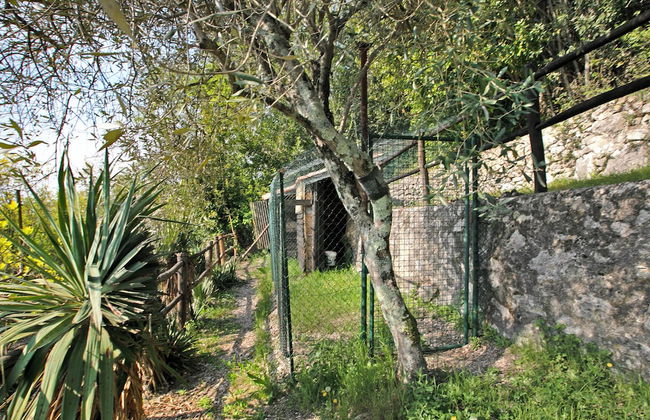 Blu Lavanda Lakeview Terrace + Garden - Foto 23