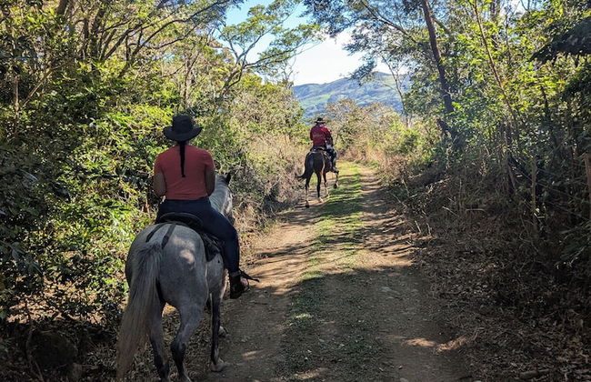 Campos de Oro Wilderness Lodge - Foto 48