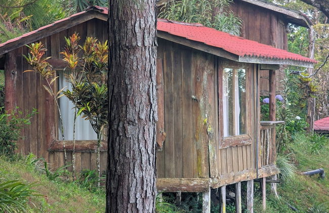 Campos de Oro Wilderness Lodge - Foto 66
