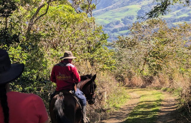 Campos de Oro Wilderness Lodge - Foto 47