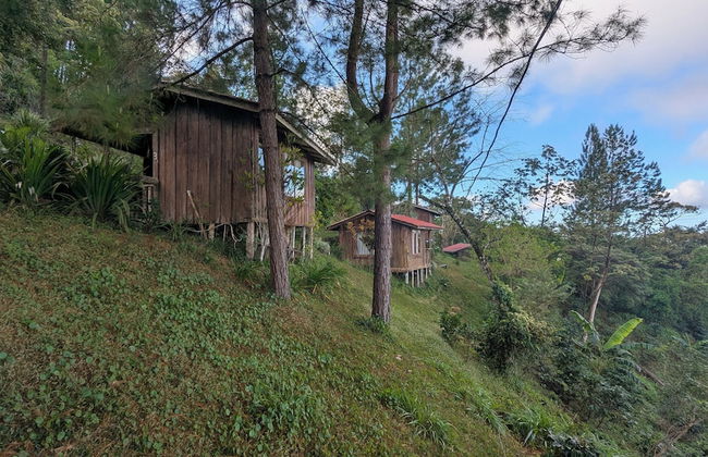 Campos de Oro Wilderness Lodge - Foto 70