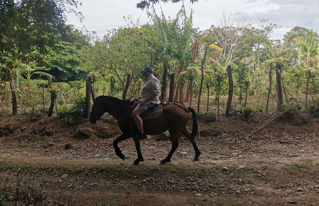 Campos de Oro Wilderness Lodge - Foto 53