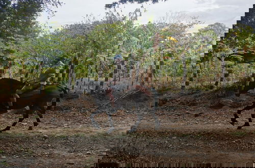 Foto 53 - Campos de Oro Wilderness Lodge