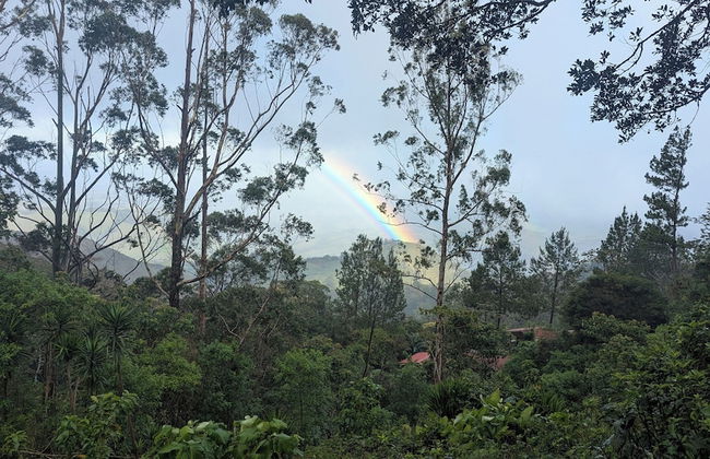 Campos de Oro Wilderness Lodge - Foto 75