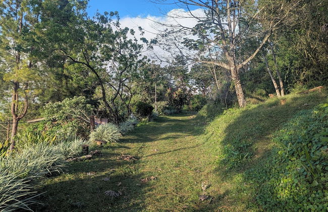 Campos de Oro Wilderness Lodge - Foto 79