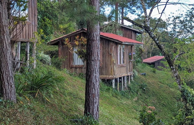 Campos de Oro Wilderness Lodge - Foto 1