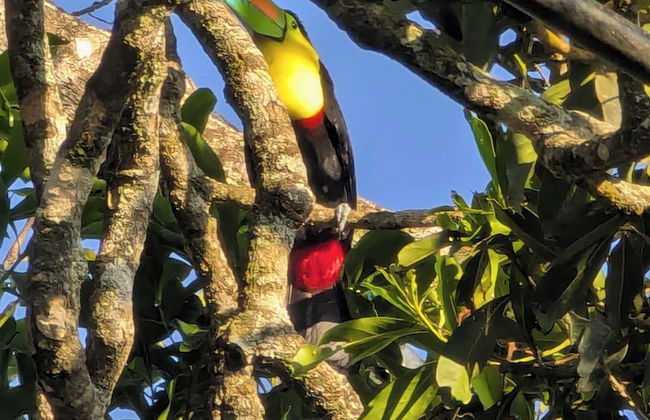 Campos de Oro Wilderness Lodge - Foto 46
