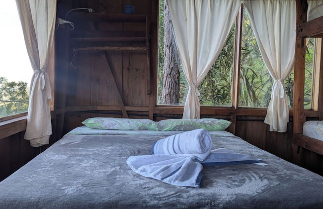 Campos de Oro Wilderness Lodge - Foto 8