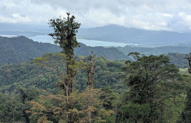Campos de Oro Wilderness Lodge - Foto 36