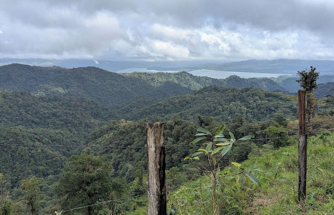 Campos de Oro Wilderness Lodge - Foto 35