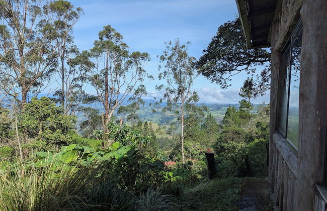 Campos de Oro Wilderness Lodge - Foto 55