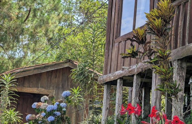 Campos de Oro Wilderness Lodge - Foto 68