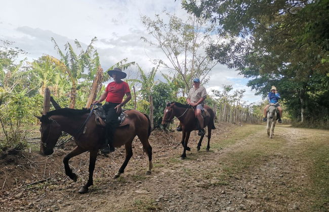 Campos de Oro Wilderness Lodge - Foto 52