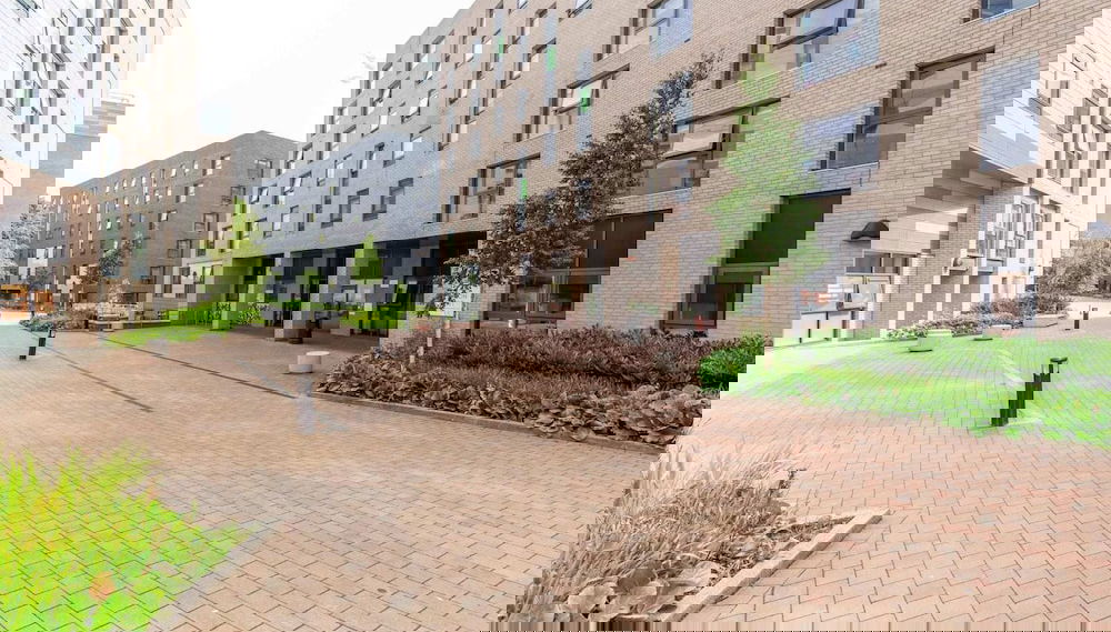 Imagem principal