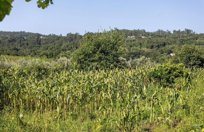 Quinta da Comenda - Casa da Fonte - Foto 36