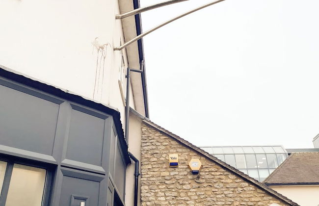 Evan's Yard - Foto 79