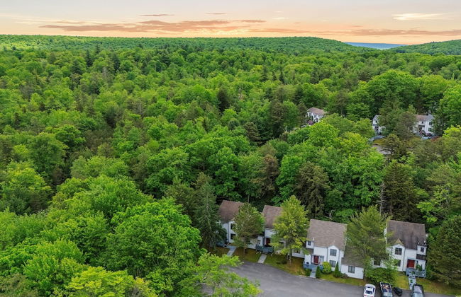 Harmony Ridge by Avantstay Large Deck w Hot Tub Forest Views - Photo 43