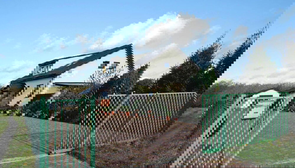 Primary image
