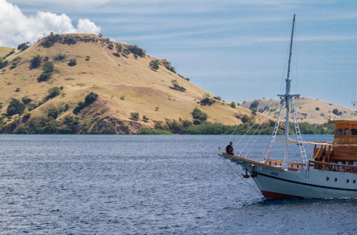 Photo 24 - Kelana Boat