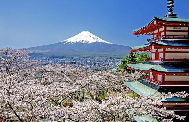 Fuji Gran Villa -Toki - Foto 54