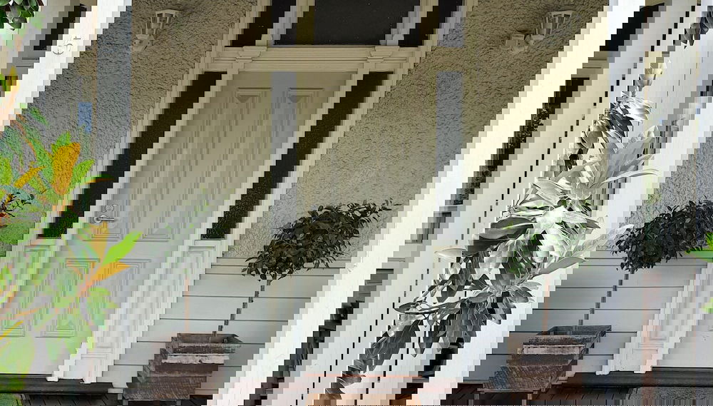Imagem principal