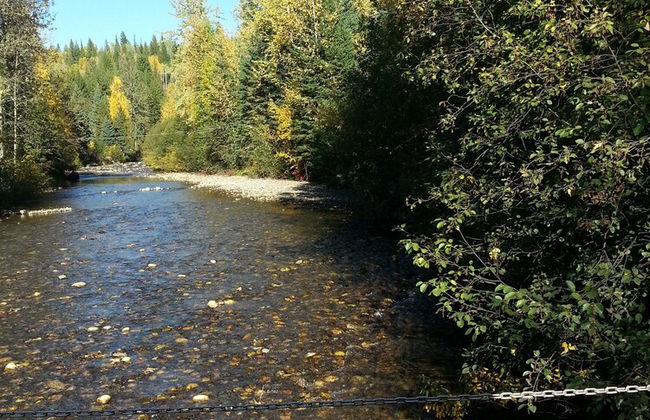 Wells Gray Golf resort and RV park - Foto 16