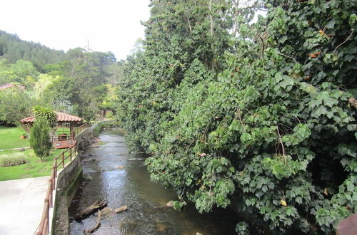 Photo 27 - River Front Cabains