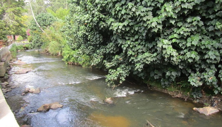 Photo 1 - River Front Cabains