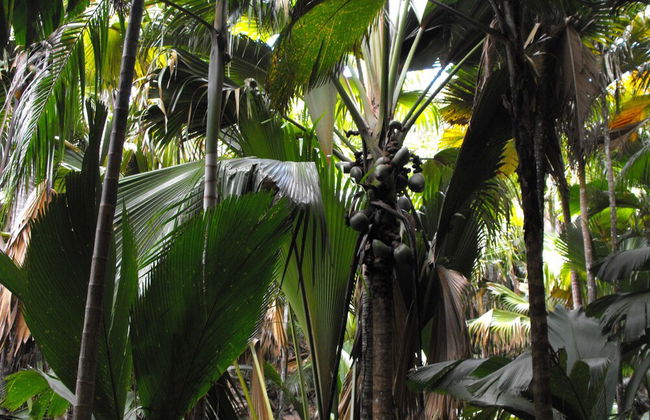 Villa Belle Plage - Foto 36