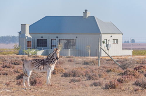 Photo 9 - L'Ermitage Quagga Lodge